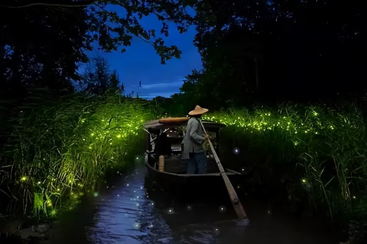 杭州夏季小众旅游攻略图,杭州夏天最适合去哪儿玩