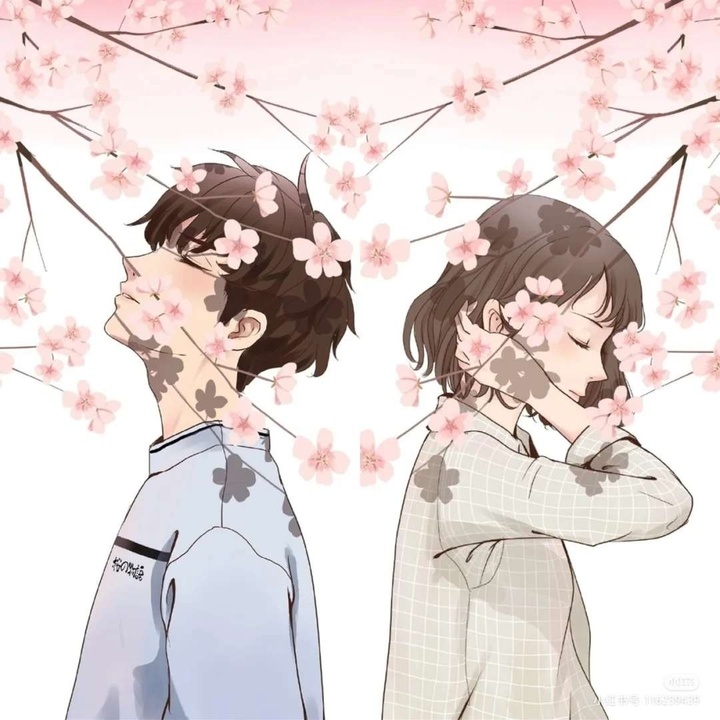 5本轻松现言甜宠文推荐,5本全程无尿点的轻松爆笑小说