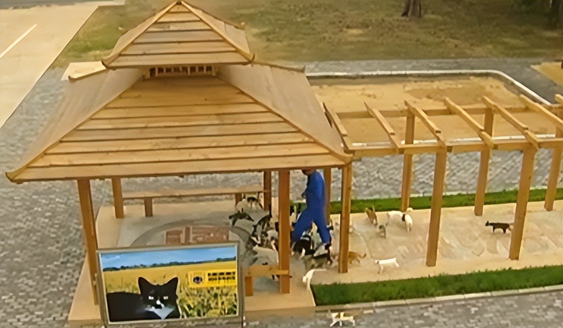 辽宁国家粮仓遭鼠患，员工训练流浪猫当兵入伍，厂内上演猫鼠大战