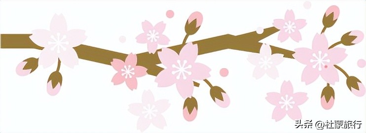 西安有什么好看的樱花景点,西安樱花最佳观赏地点