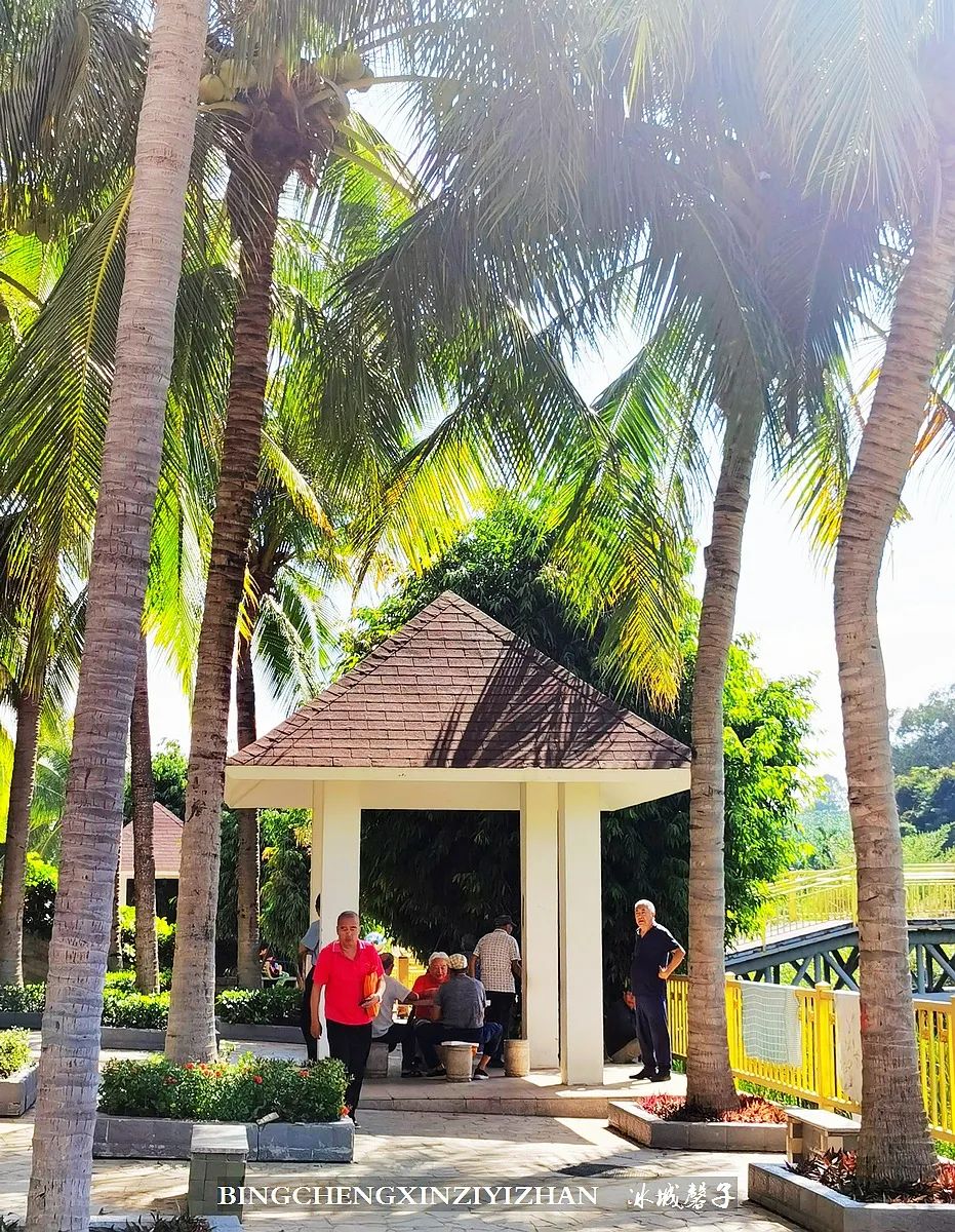 旅居海南,旅居式旅游生活海南