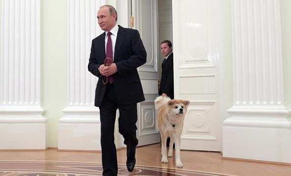 迷人小老头普京：当特工时接头都要迟到，曾牵着狗会见日本代表