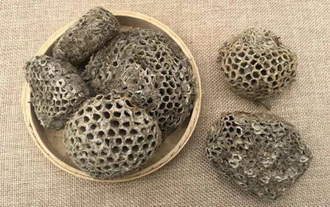 农村赚不了钱做什么,农村到底靠什么才能赚钱