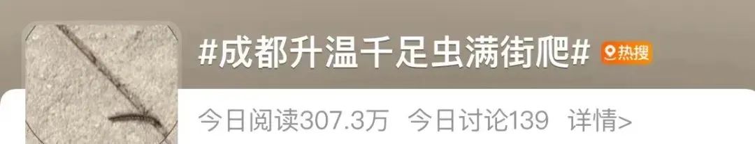 千足虫马路上聚集什么原因,千足虫成都