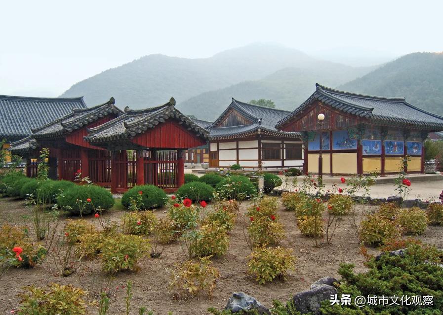 韩国人为什么都姓金,韩国人为什么都姓金和朴