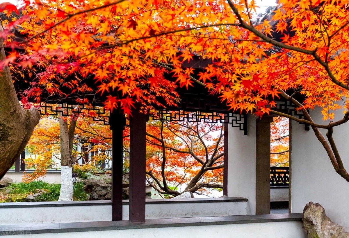 部编版九上语文目录,送东阳马生序原文