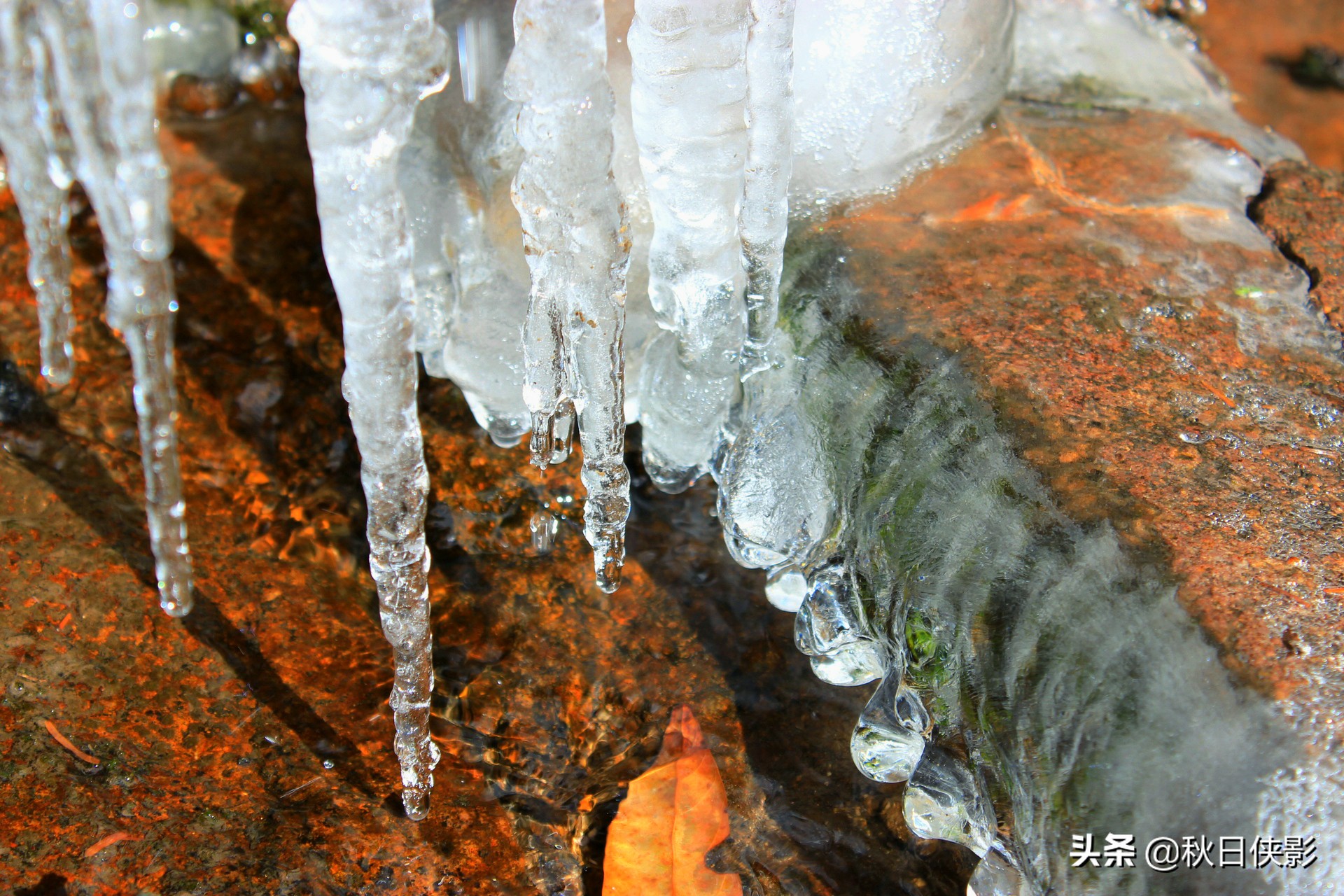 绂绘澀宸炴渶杩戠殑绉洩,鏉窞绉洩