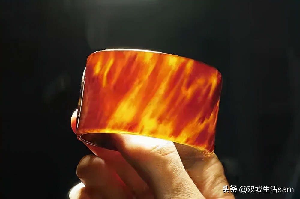 玳瑁为什么又是猫又是龟,玳瑁猫为啥叫玳瑁