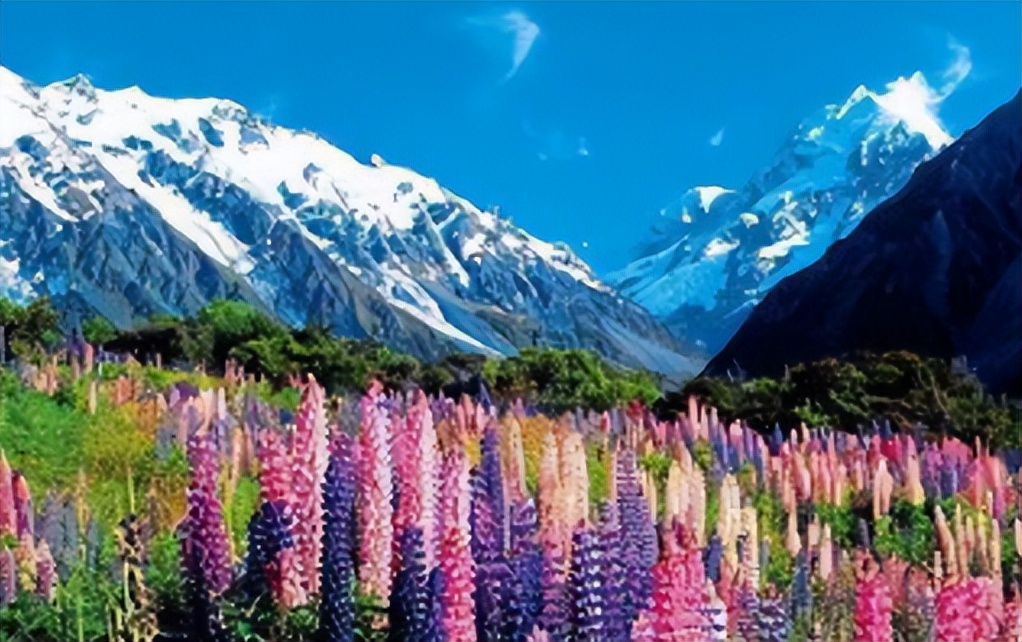 新西兰的自然资源条件,新西兰对自然环境的保护