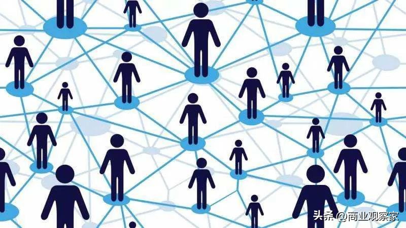 野菌生长过程,野团生活环境