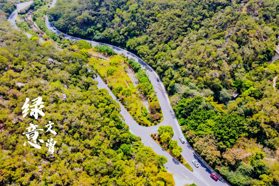 文曾路交安设施全面提升，出行旅游更安心！