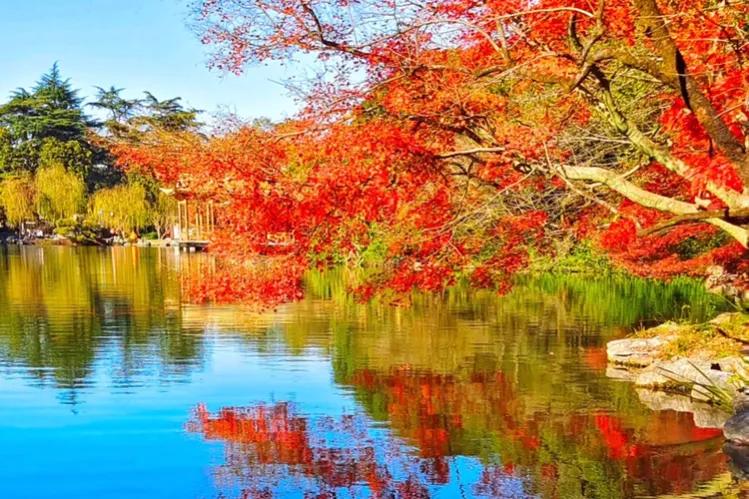 期货交易趋势判断方法,期货趋势交易的策略