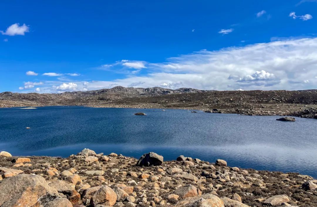 占地45亩的标准足球场馆,116公顷几个足球场