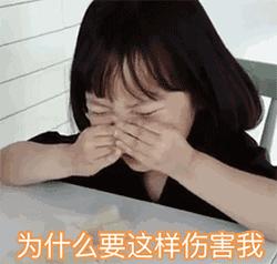 adobepremierepro2023最新版,adobepremierepro2024初级教程