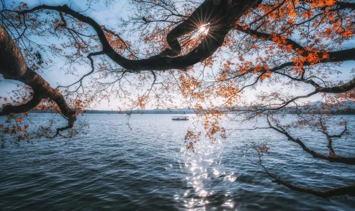 描写西湖秋天的古诗,西湖的秋天最美