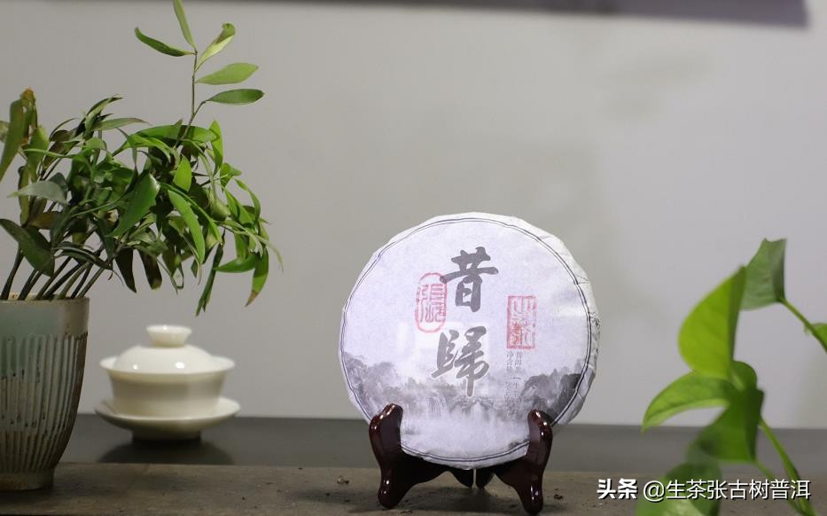 小白鉴别茶叶,如何挑选普洱茶最全干货大揭秘