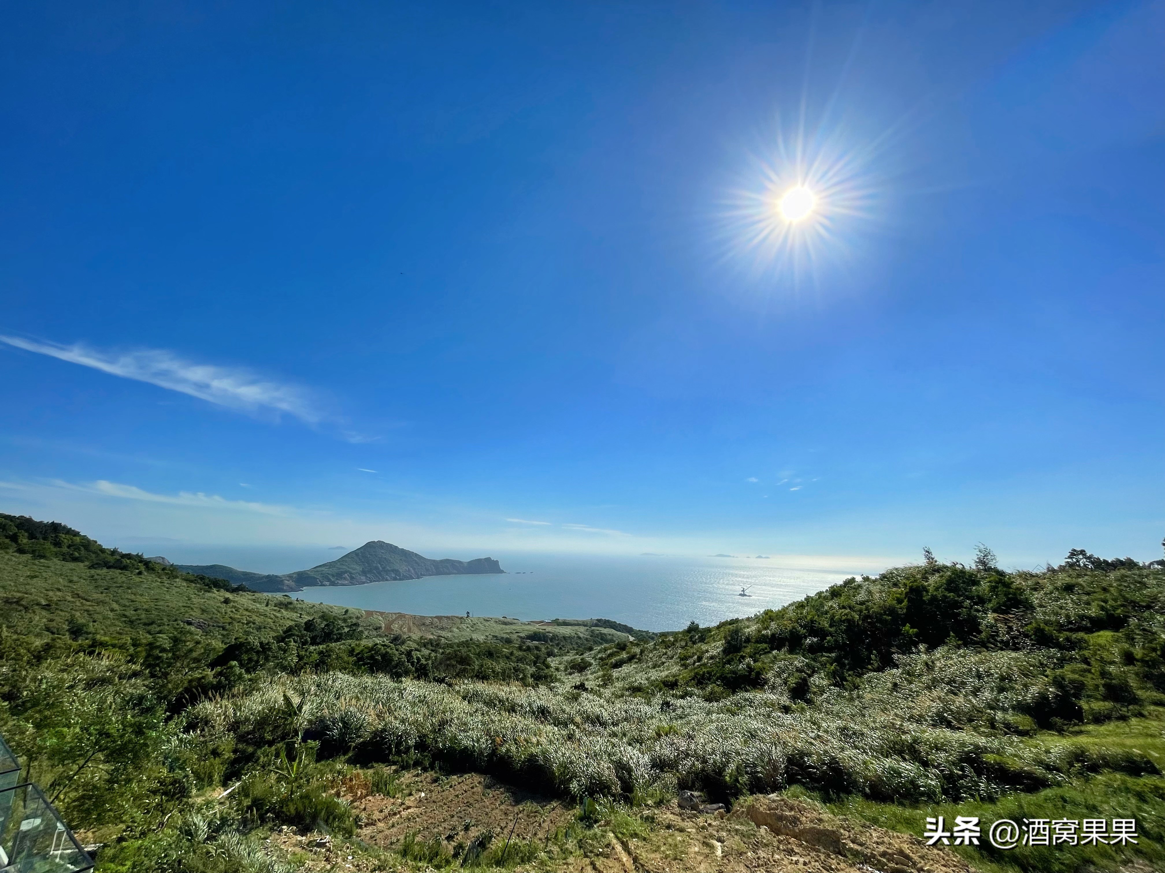 福鼎两天一夜旅游攻略,福鼎茶漫步茶园体验采茶之旅
