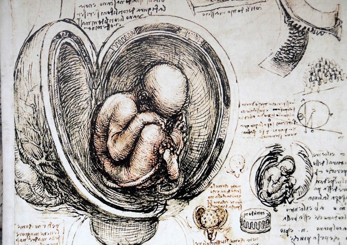 为了研究*行为性**，科学家都做过哪些奇葩实验？达芬奇也参与其中