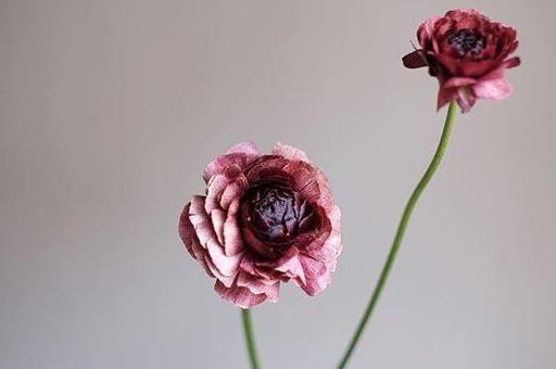 走到哪里都是气氛组,走到哪里都是一个人习惯了孤独