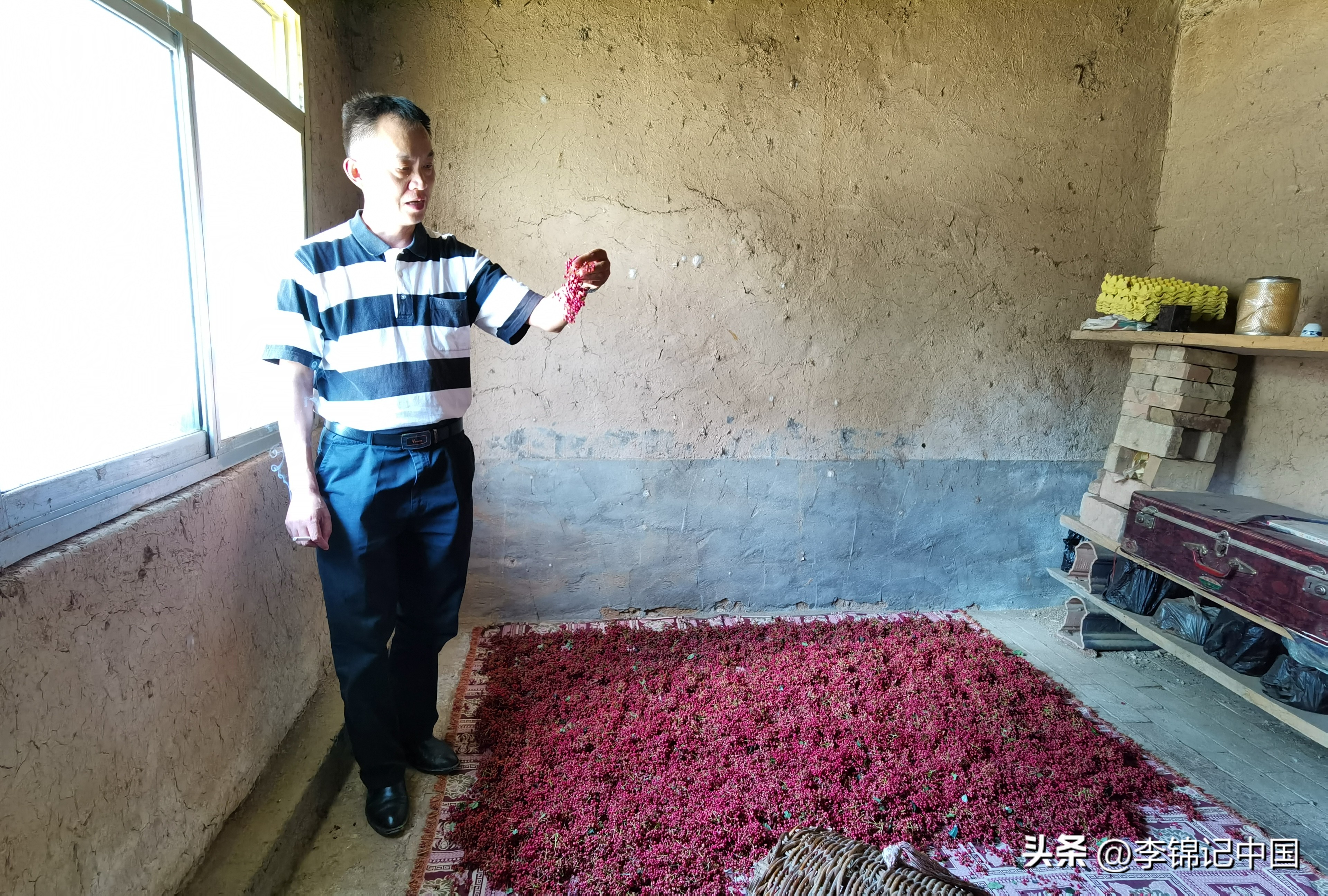 宝藏老师背后的意义,宝藏老师都有哪些特点