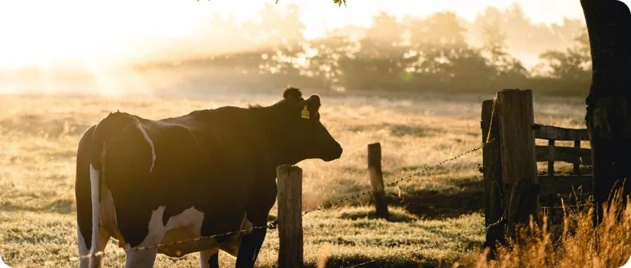 人活着最高境界是耐得住孤独,活着的三大原则