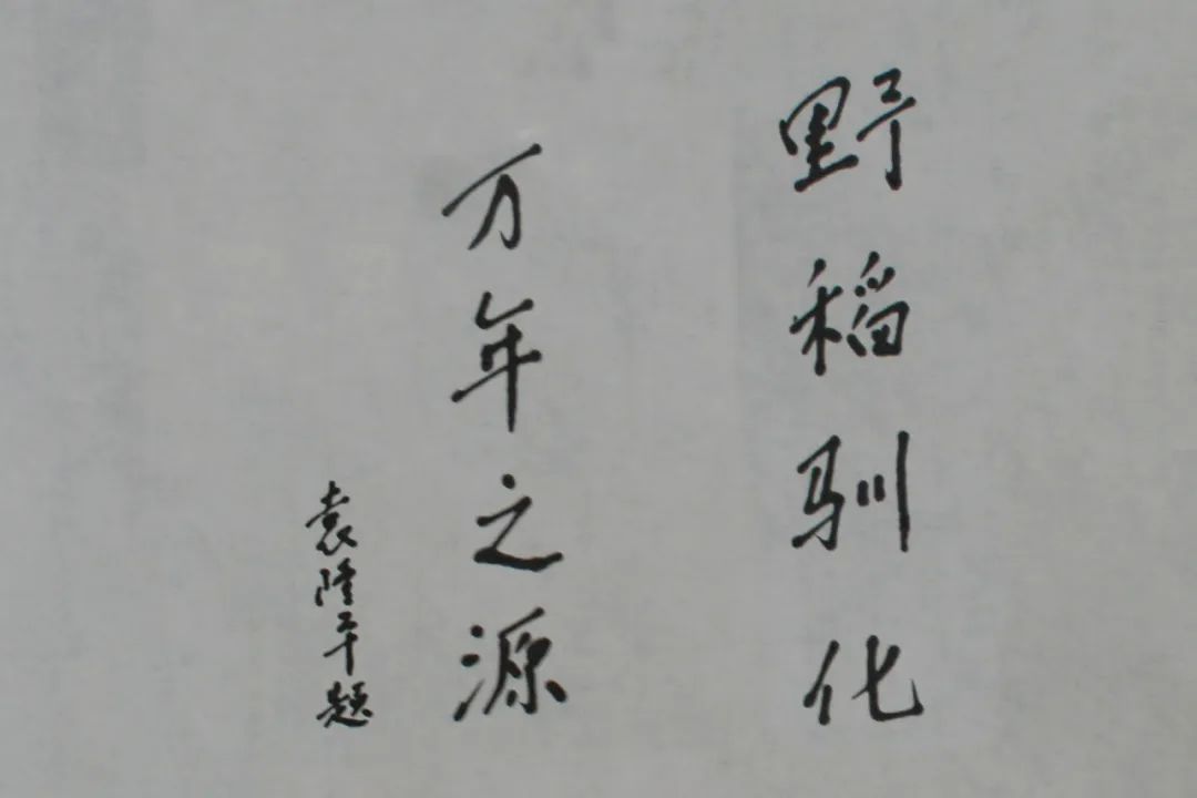 【上饶天下SHOW之万年县】上饶“一粒米”品牌价值96亿元!