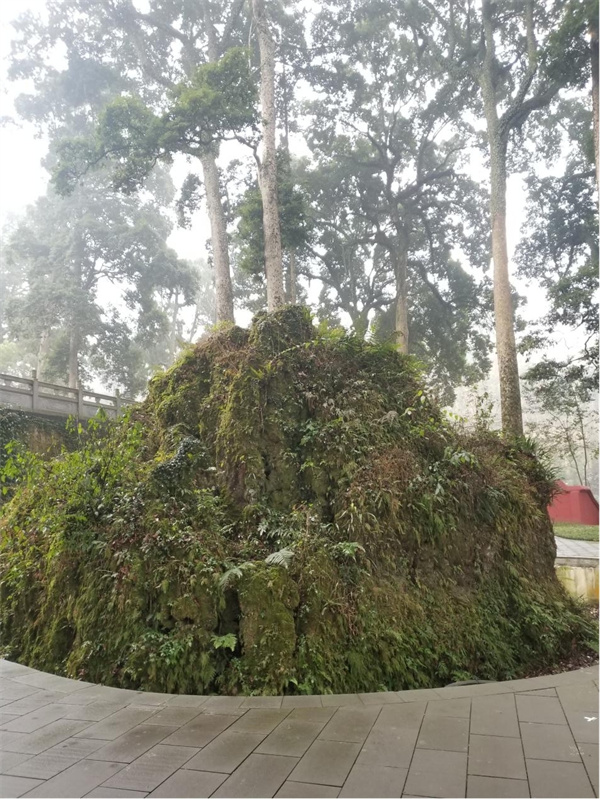荥经云峰寺“飞来石”的搬运工是唐朝名将韦皋