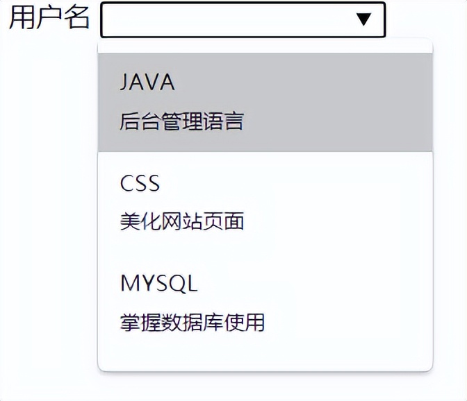 零基础网页设计前端html,html零基础快速入门