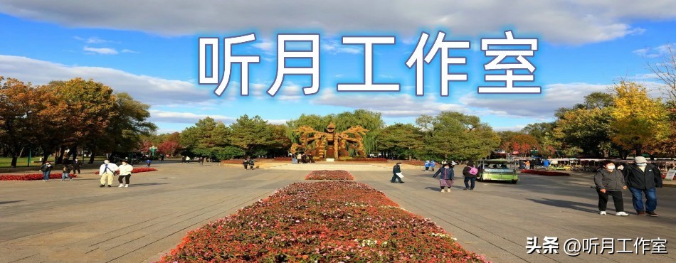 王岩书法家,书法家王岩作品