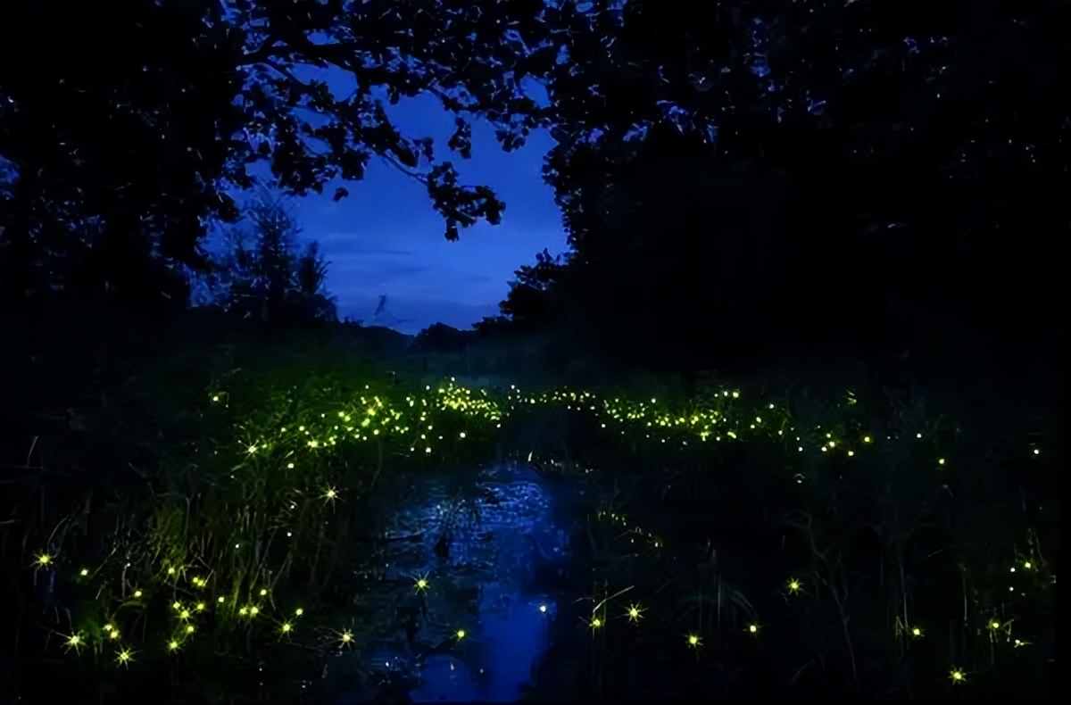 泰国曼谷旅游水上市场,泰国曼谷水上市场介绍