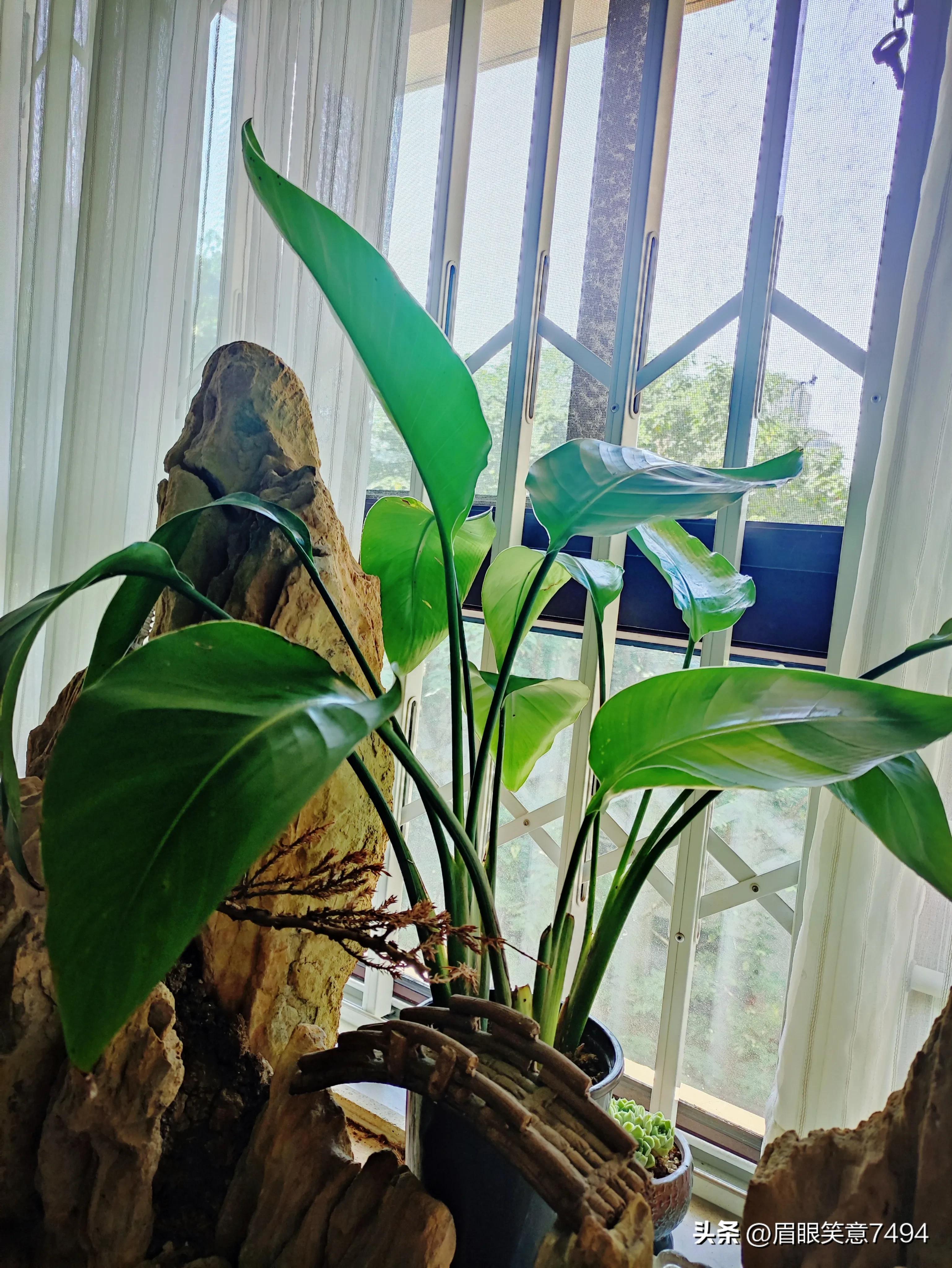 蓝色和绿色一定是上天选的治愈色,能治愈的蓝色和绿色