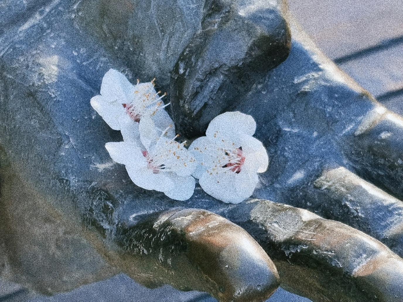 过敏季来袭！不怕，校园花粉地图帮你躲避