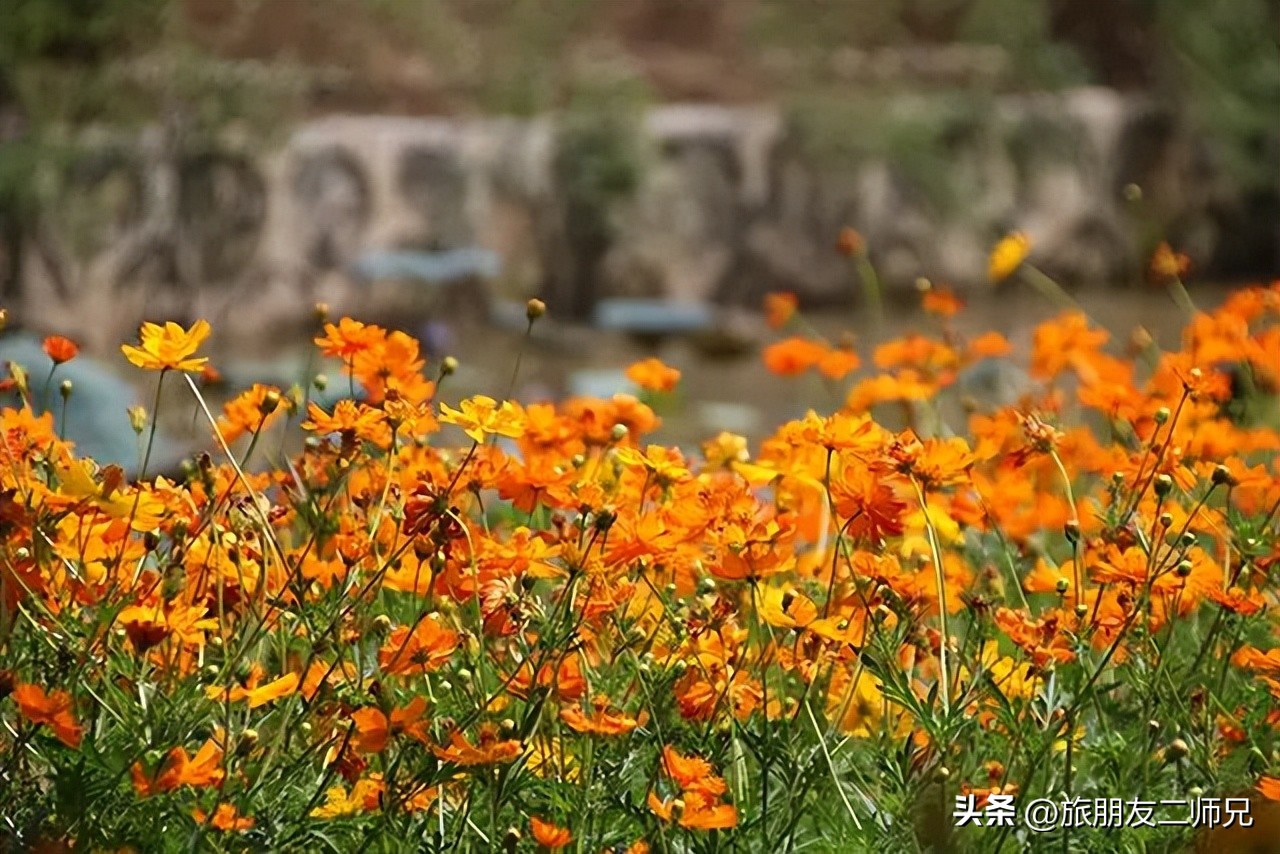 佛山广州两天两夜游玩攻略,佛山去南海湾森林公园