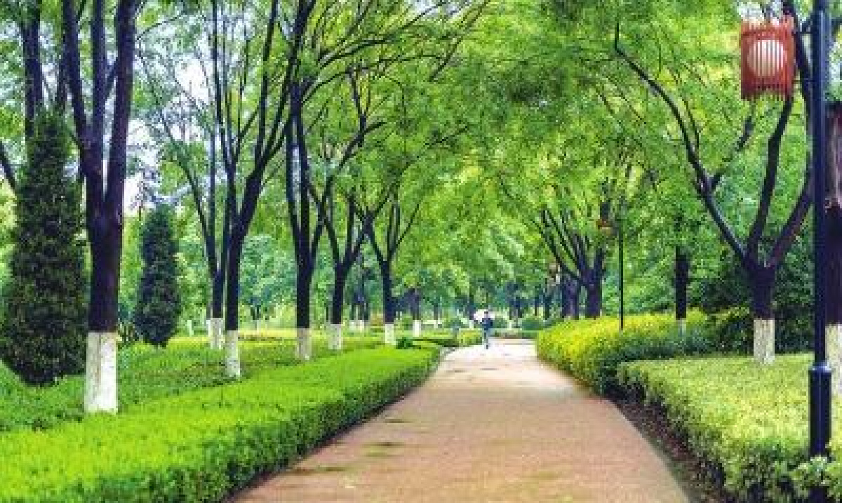 漯河市环境空气质量排名大全,漯河市空气质量指数实时查询