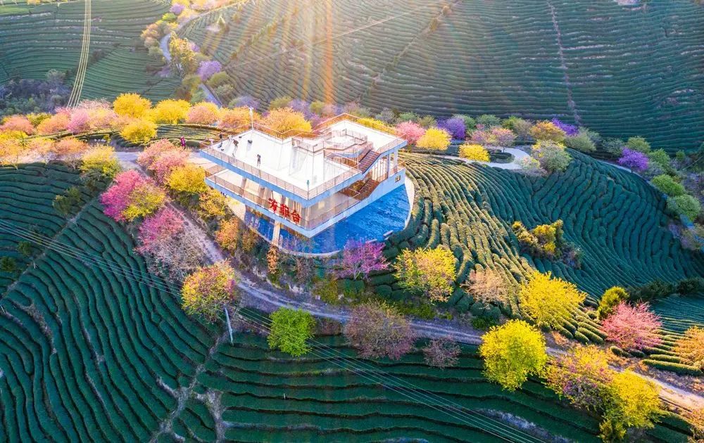 日本100个最佳樱花景点,日本十大樱花景点