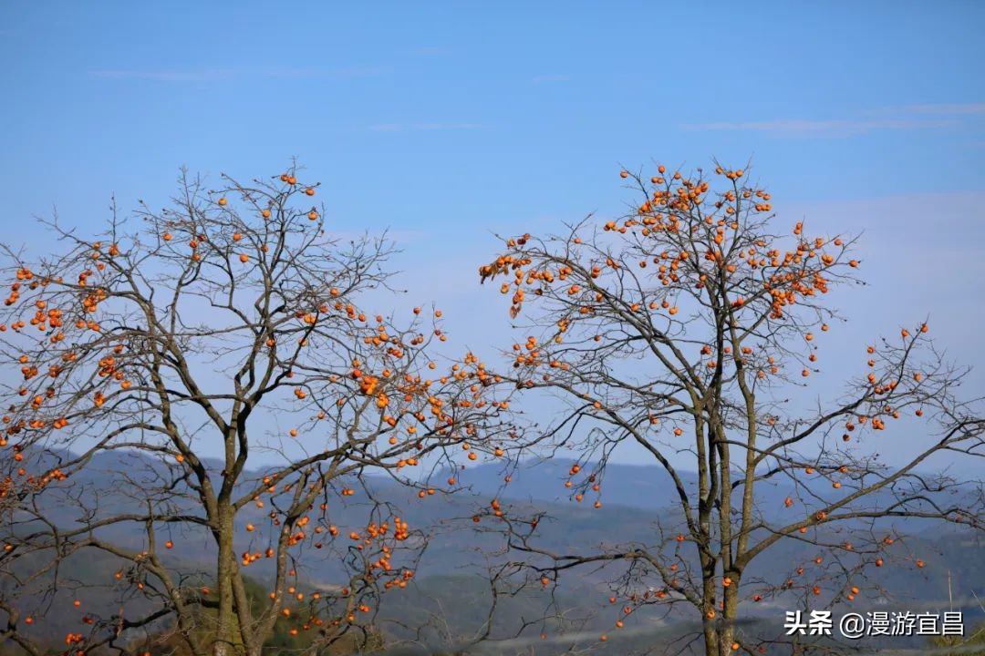 宜昌三峡最美公路景点,宜昌旅游攻略必去的景点百里荒