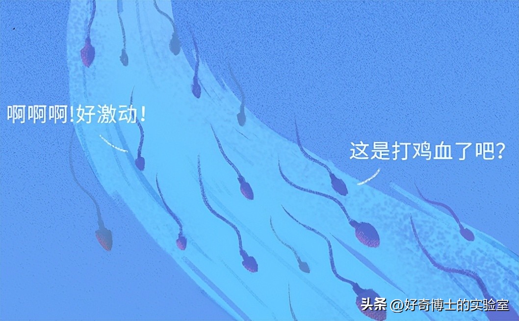 精子进入人体1小时变化,精子进入人体24小时变化