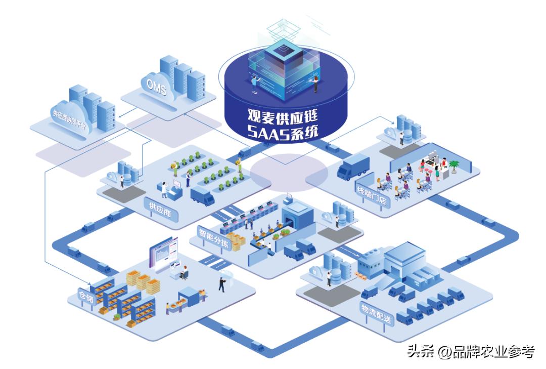农参专访观麦科技:打造中国食材供应链数字化第一品牌