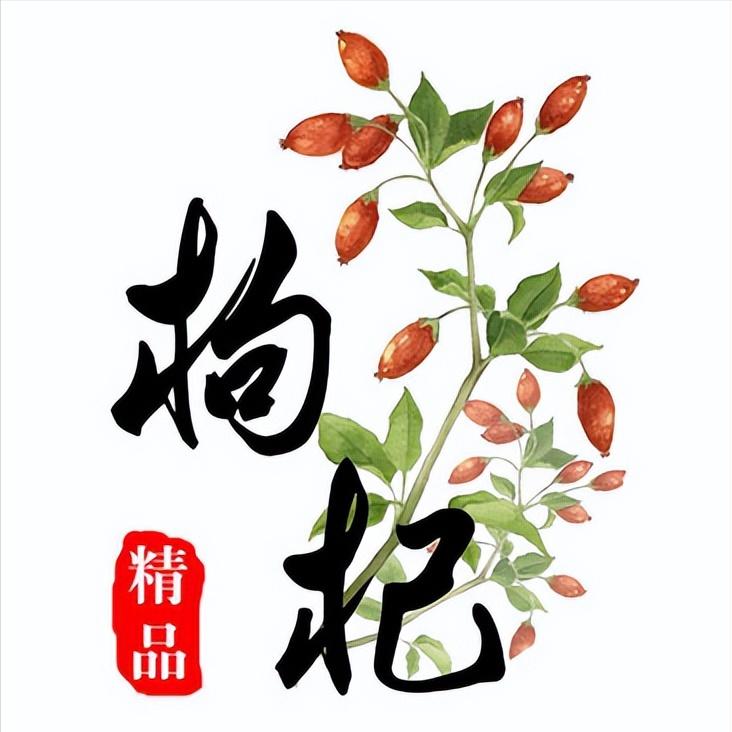 补肾的啥药可以滋阴补阳,滋阴降火补肾益精的有什么中药