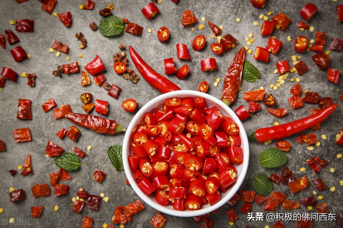 写小说取名素材大全集,第一章全是名字的小说