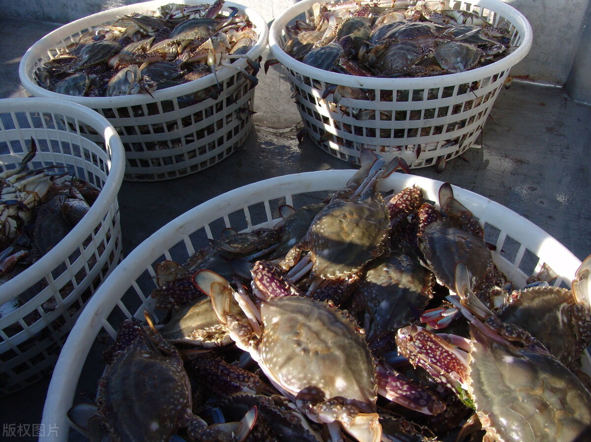 嵊泗县唯一一个国家级景区,嵊泗列岛风景区