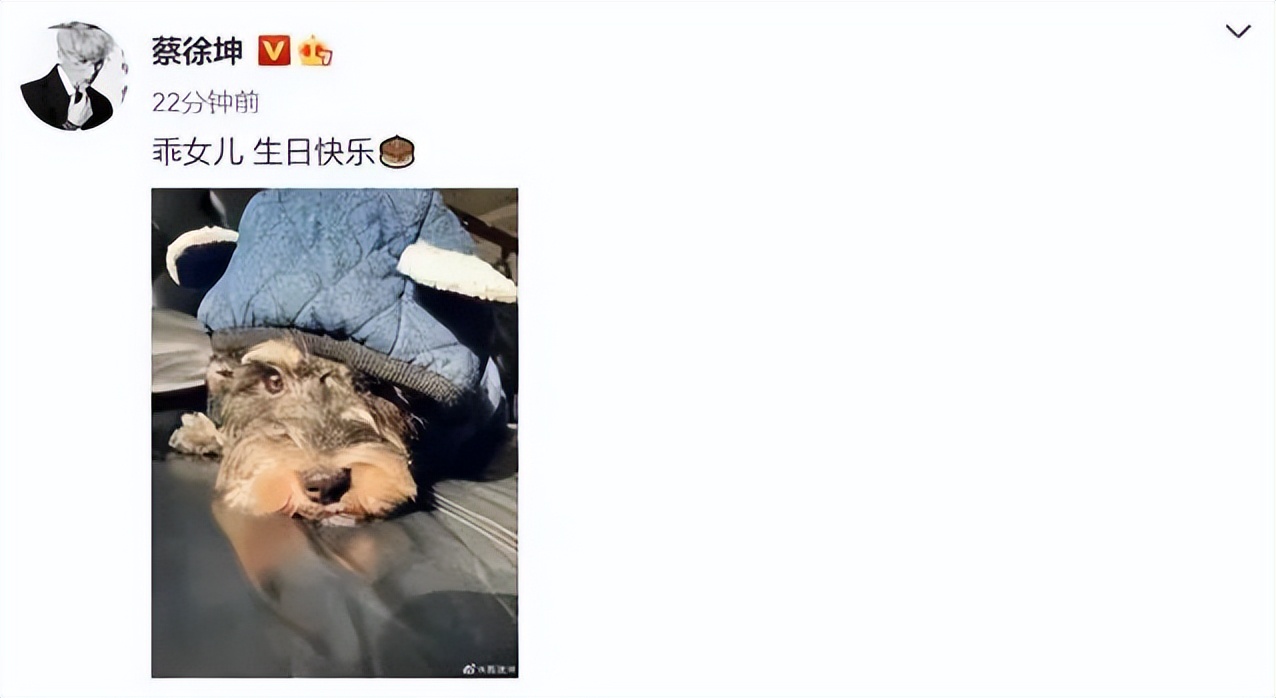 曝蔡徐坤一夜情致女方怀孕堕胎,曝蔡徐坤和蔡母曾被传唤