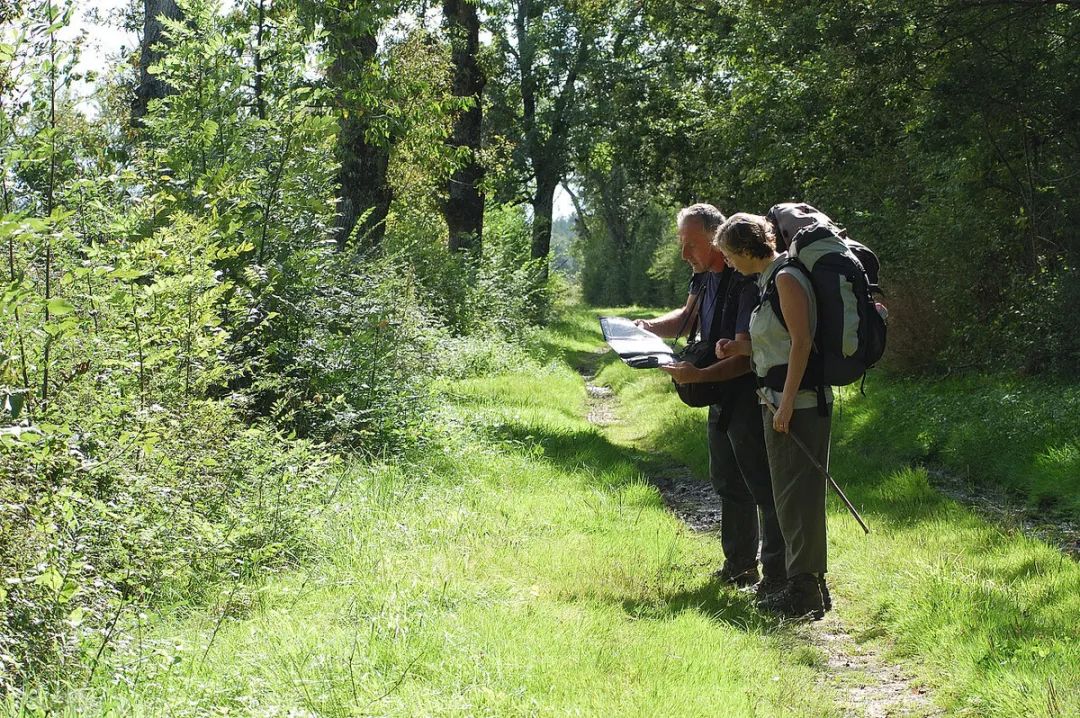 世界上高收入国家有哪些,高收入国家和发达国家