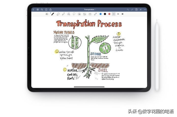 适合大学生的笔记软件评测:云笔记.离线笔记、手写笔记、写作软件