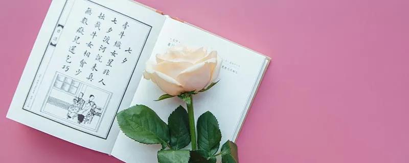 青春期孩子怨恨父母怎么解决,青春期孩子逆反心理家长如何应对