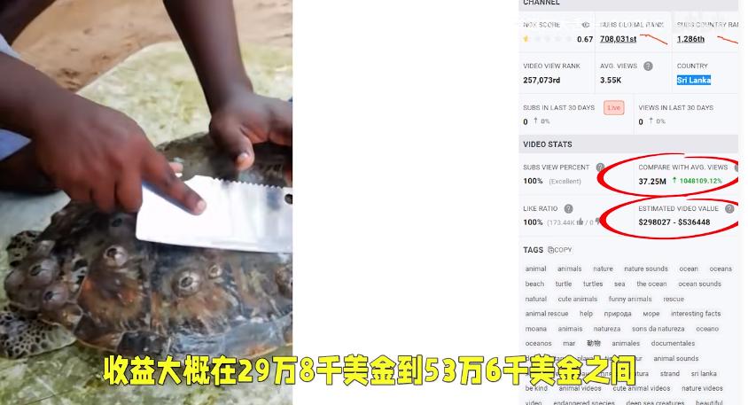 为了拯救动物我们可以做什么,为了拯救小动物牺牲自我