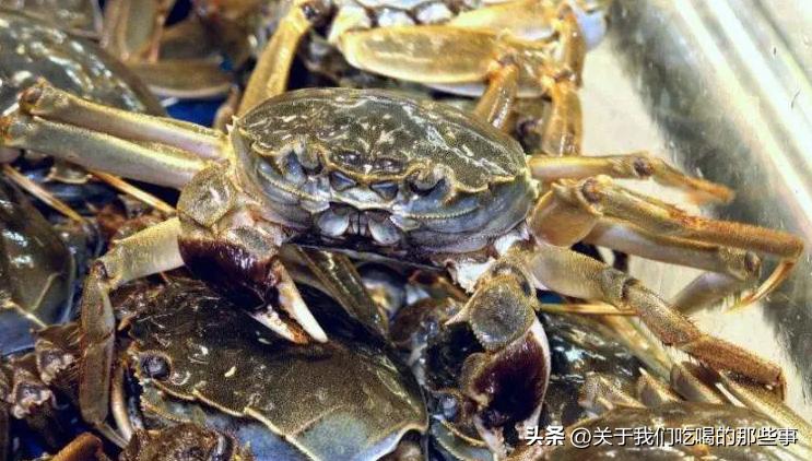 死螃蟹有一点点臭味能不能吃,活螃蟹哪些地方不能吃