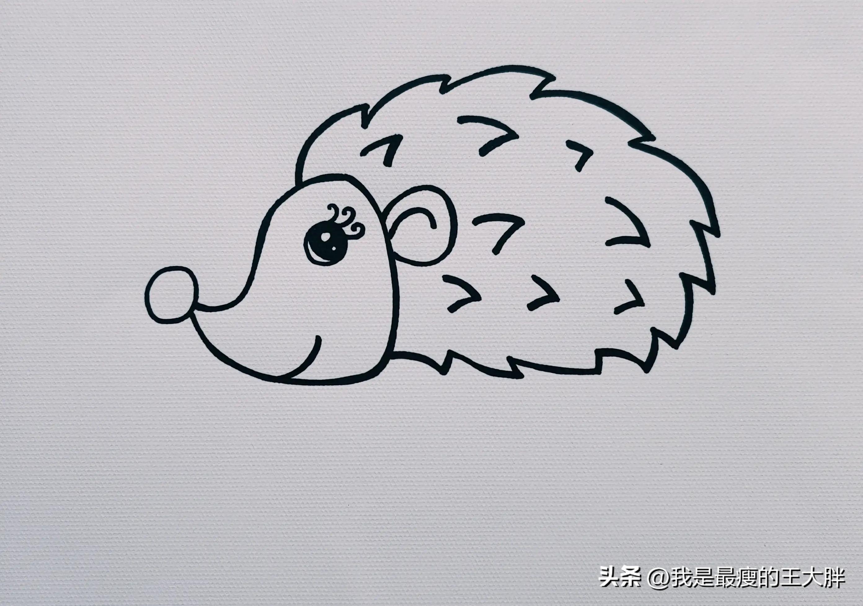 儿童画小刺猬的画法,小刺猬儿童画简笔画