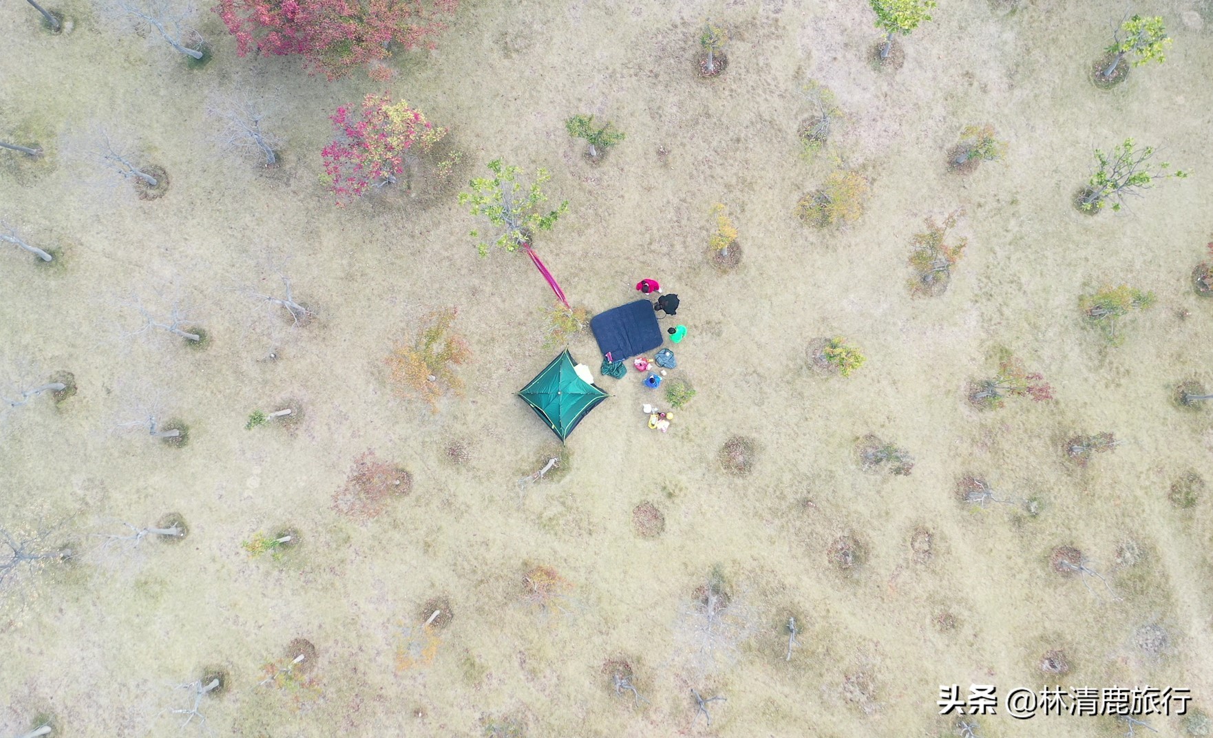 郑州大型湖泊公园,郑州环湖亲子公园图