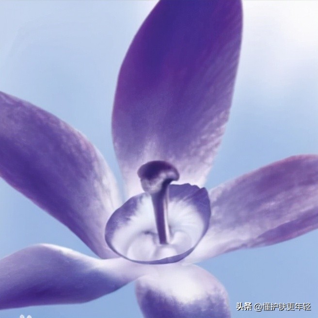 自然堂和欧诗漫哪个护肤品比较好,欧诗漫自然堂哪个产品好